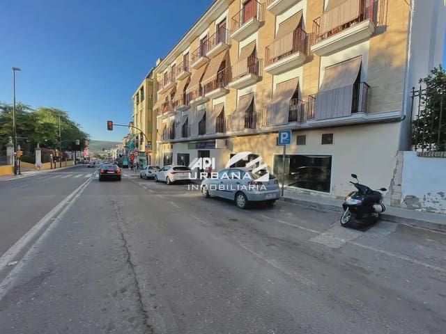 Kaupallinen vuokrattavana paikassa Lucena - 4 000 € (Ref: 9963892)