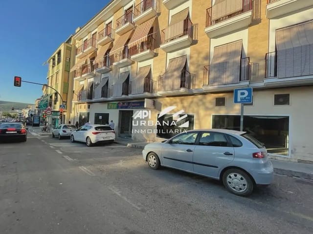 Kaupallinen vuokrattavana paikassa Lucena - 4 000 € (Ref: 9963892)