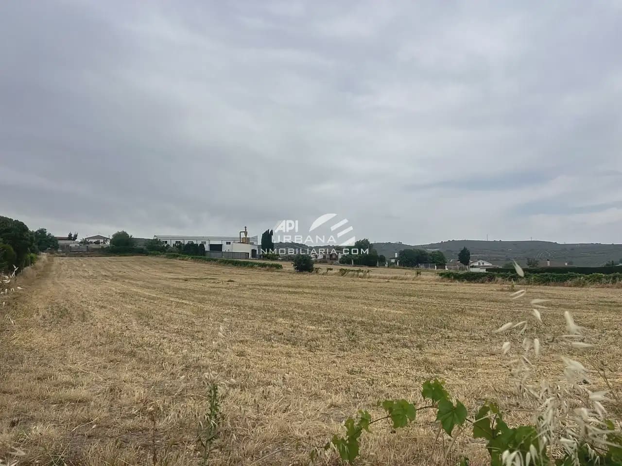 Bouwgrond te koop in Lucena - € 139.000 (Ref: 9963894)
