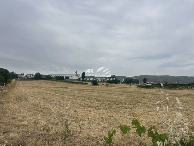 Bouwgrond te koop in Lucena - € 139.000 (Ref: 9963894)