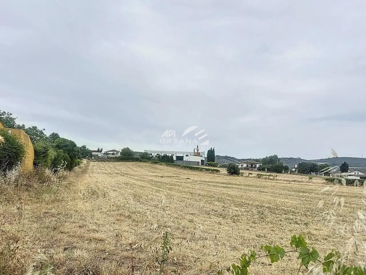 Bouwgrond te koop in Lucena - € 139.000 (Ref: 9963894)