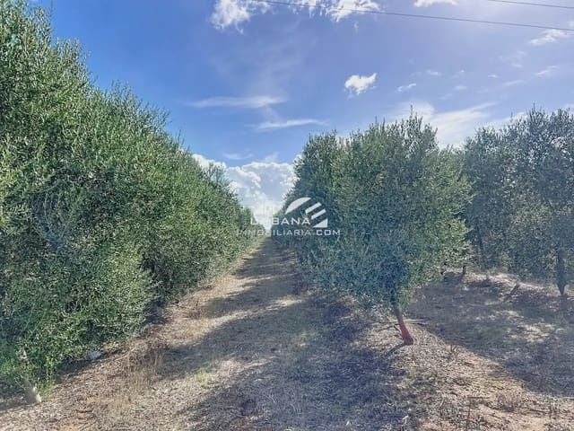Finca/Herregård til salgs i Ecija - € 2 100 000 (Ref: 9963930)
