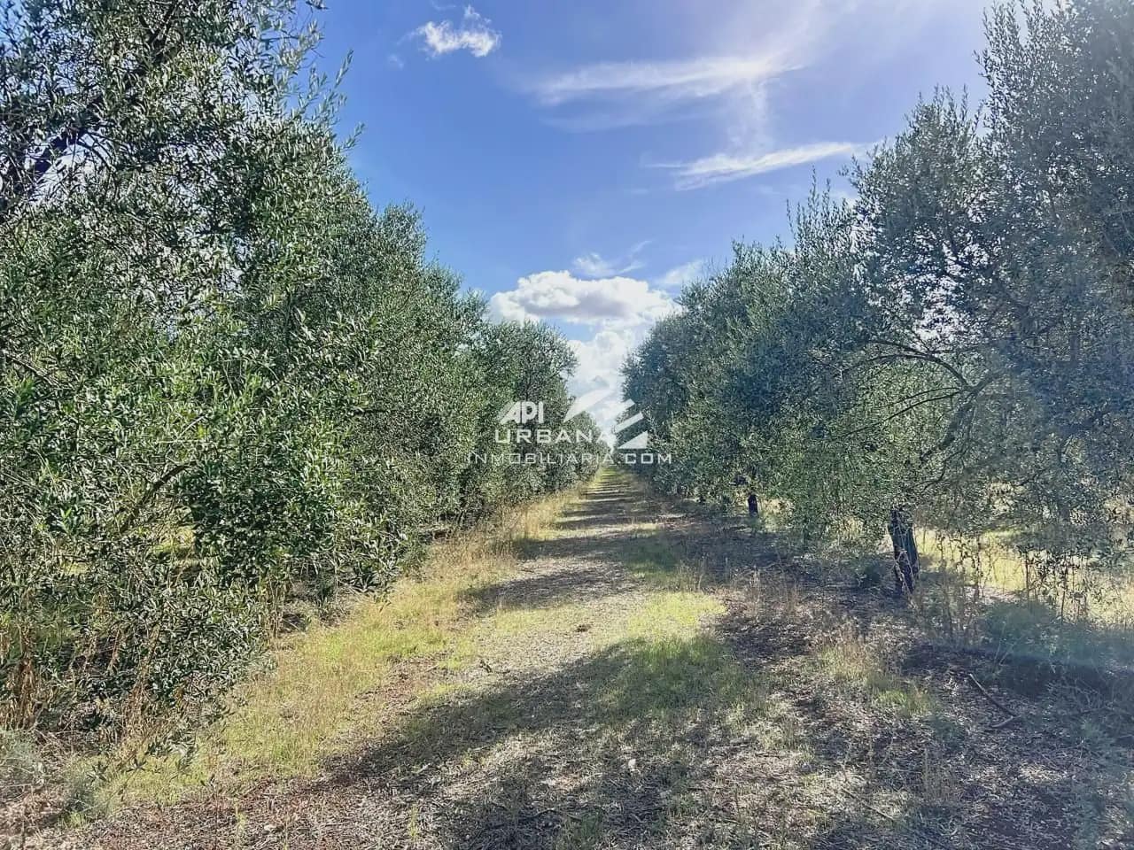 Finka/Dom wiejski na sprzedaż w Ecija - 2 100 000 € (Ref: 9963930)