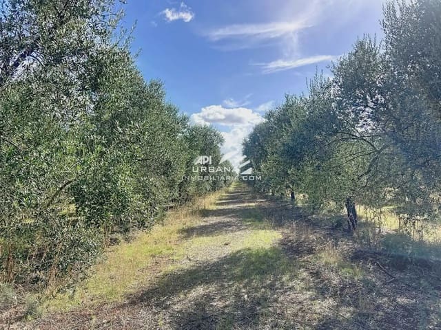 Finca/Herregård til salgs i Ecija - € 2 100 000 (Ref: 9963930)