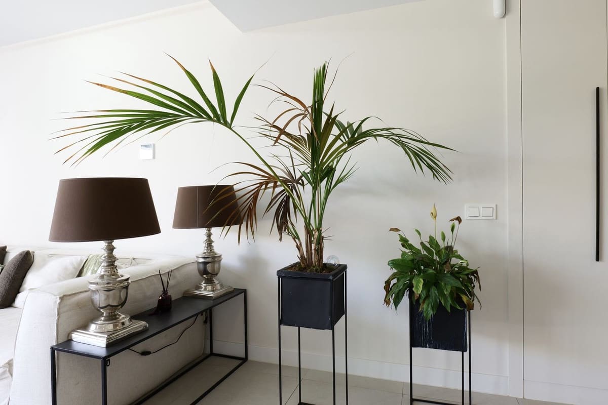 3 Zimmer Apartment zu verkaufen in Estepona mit Pool Garage - 695.000 € (Ref: 9733248)