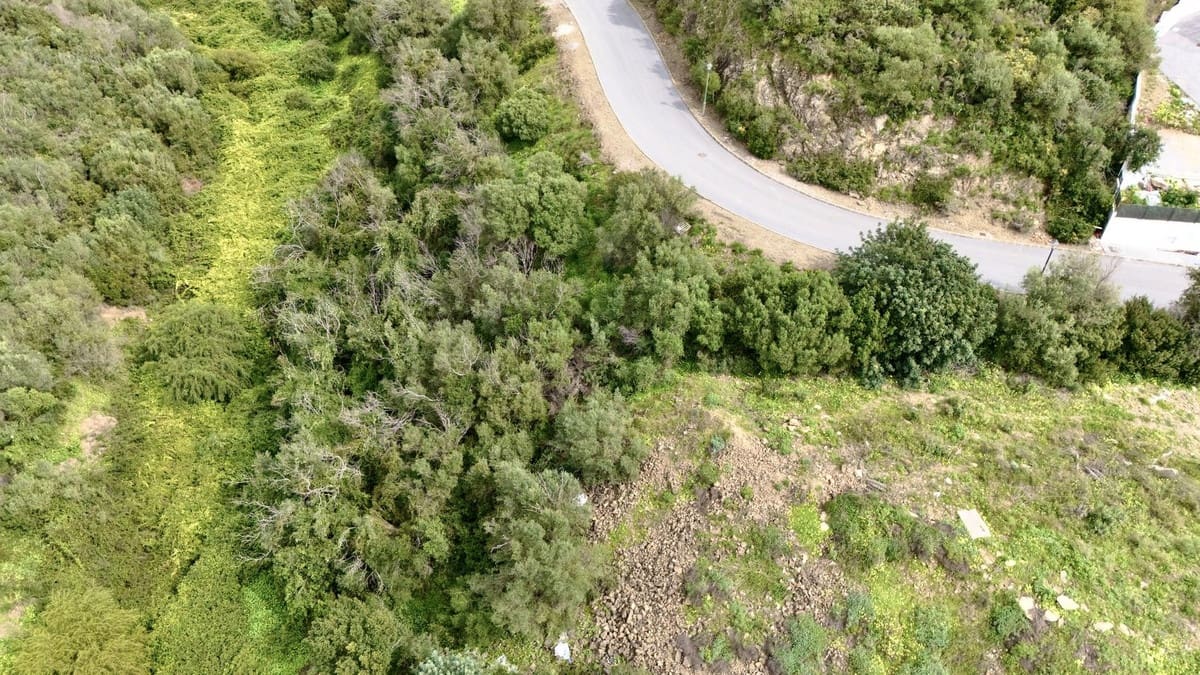 Building Plot for sale in El Rosario - € 399,000 (Ref: 9733267)