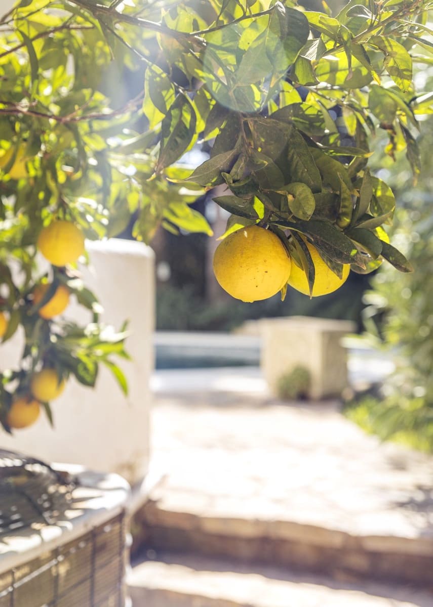 Chalet de 9 habitaciones en Riviera del Sol en venta con piscina garaje - 2.200.000 € (Ref: 9733285)