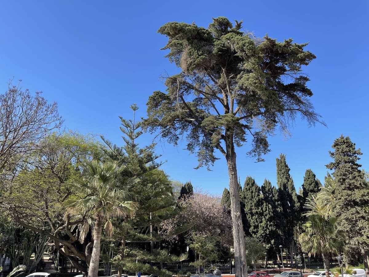 4 camera da letto Attico in vendita in Marbella con piscina - 2.000.000 € (Rif: 9733286)