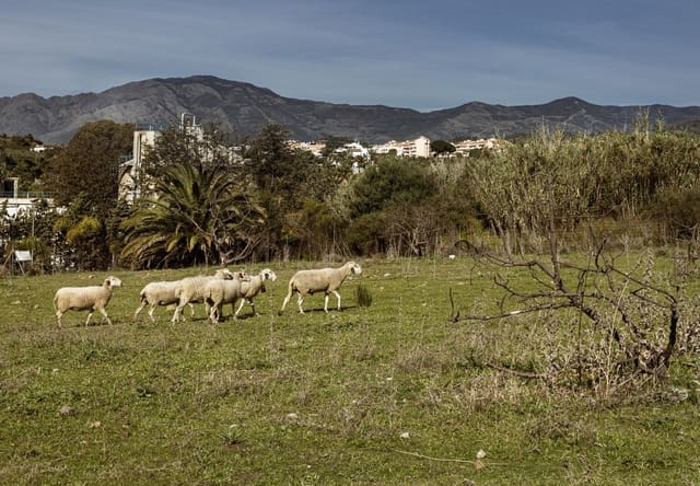 Terreno Non Edificato in vendita in Cancelada, Estepona - 1.330.000 € (Rif: 9733297)