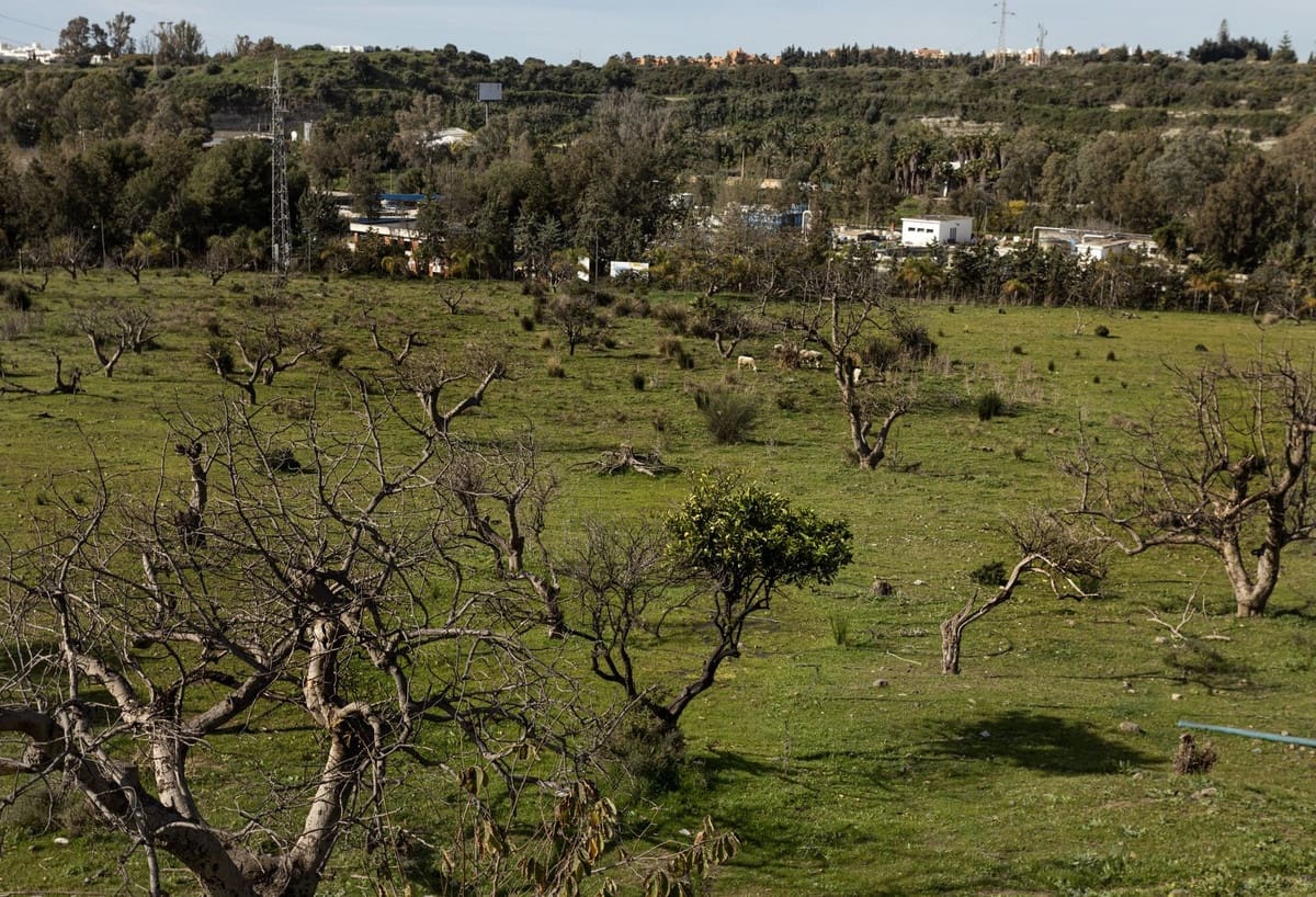 Undeveloped Land for sale in Cancelada - € 1,330,000 (Ref: 9733297)