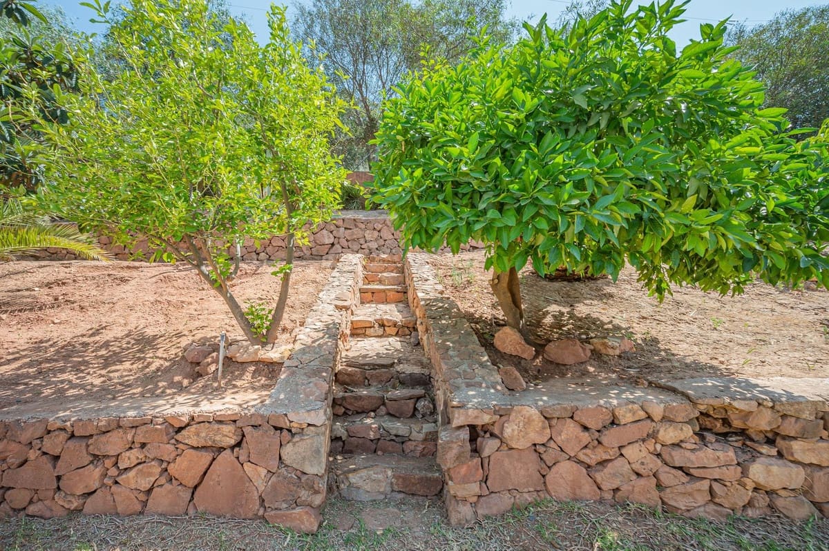 3 bedroom Villa for rent in Nueva Andalucia with pool garage - € 7,000 (Ref: 9733331)