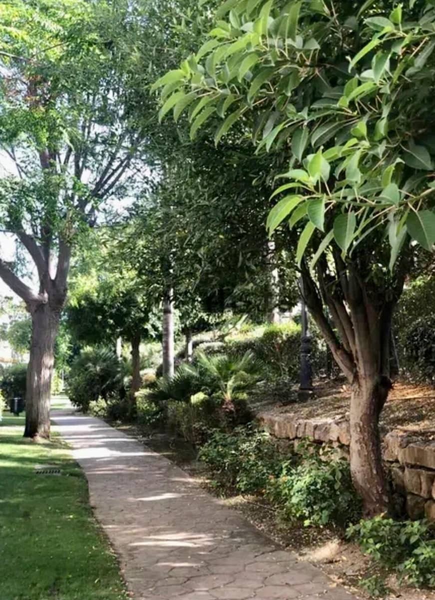 2 bedroom Penthouse for rent in Nueva Andalucia with pool garage - € 2,000 (Ref: 9733353)