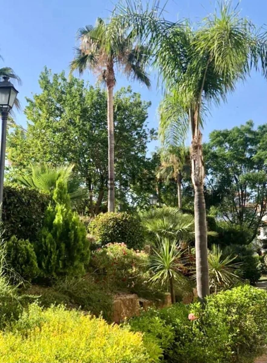 2 bedroom Penthouse for rent in Nueva Andalucia with pool garage - € 2,000 (Ref: 9733353)