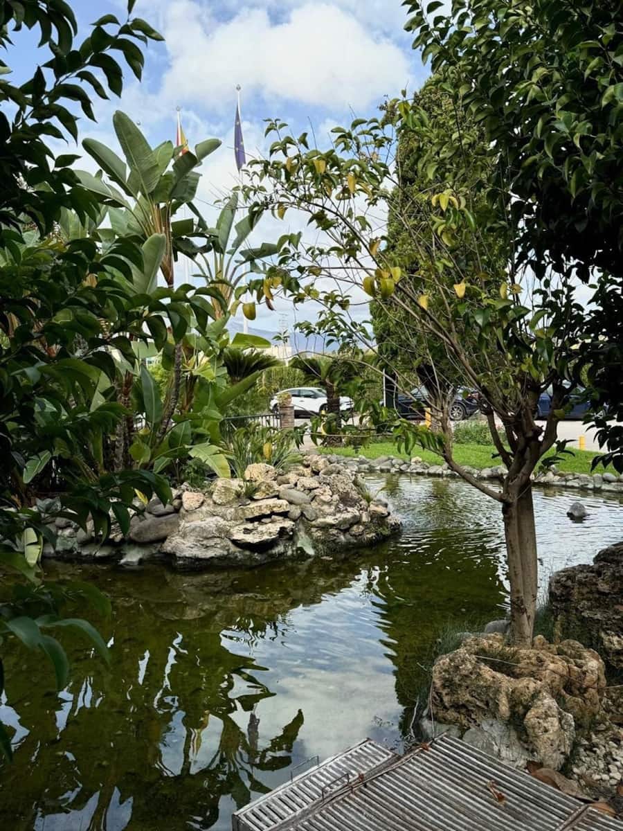 2 bedroom Apartment for rent in Estepona with pool - € 2,000 (Ref: 9733355)