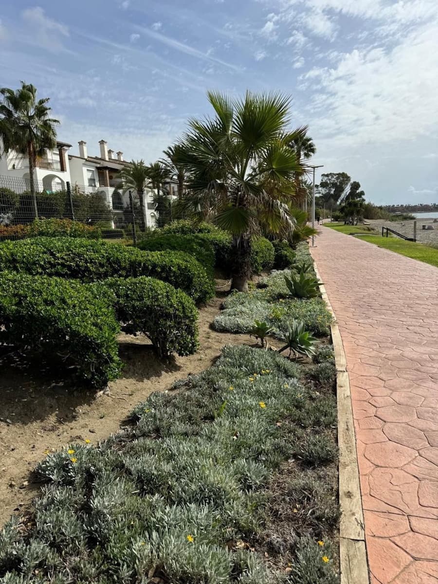 2 bedroom Apartment for rent in Estepona with pool - € 2,000 (Ref: 9733355)