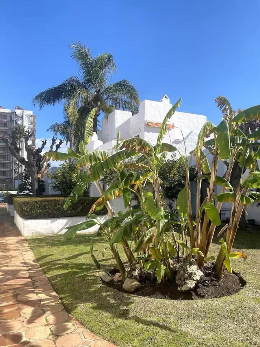 2 bedroom Apartment for rent in Cancelada with pool garage - € 2,000 (Ref: 9733357)