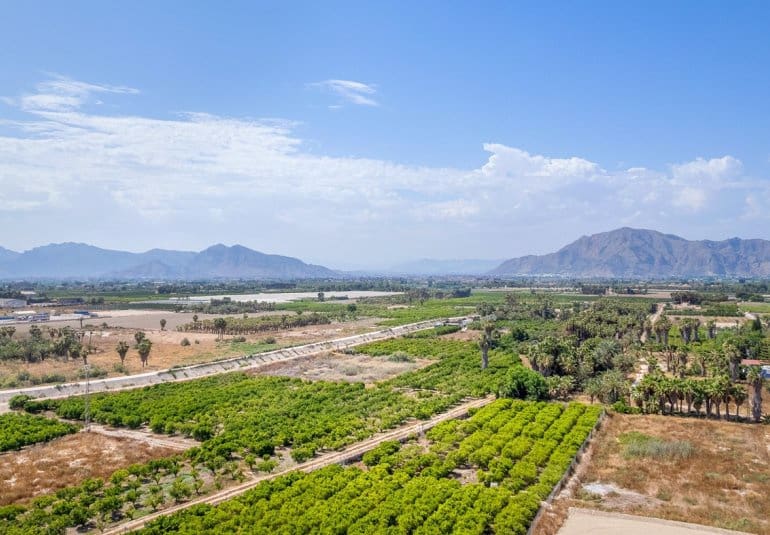 3 bedroom Apartment for sale in Jacarilla - € 206,000 (Ref: 9484113)