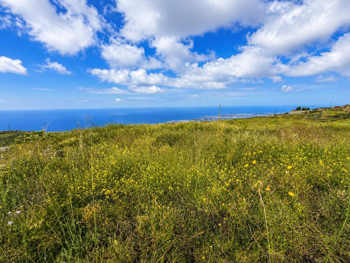 Undeveloped Land for sale in Fasnia - € 197,000 (Ref: 10027347)