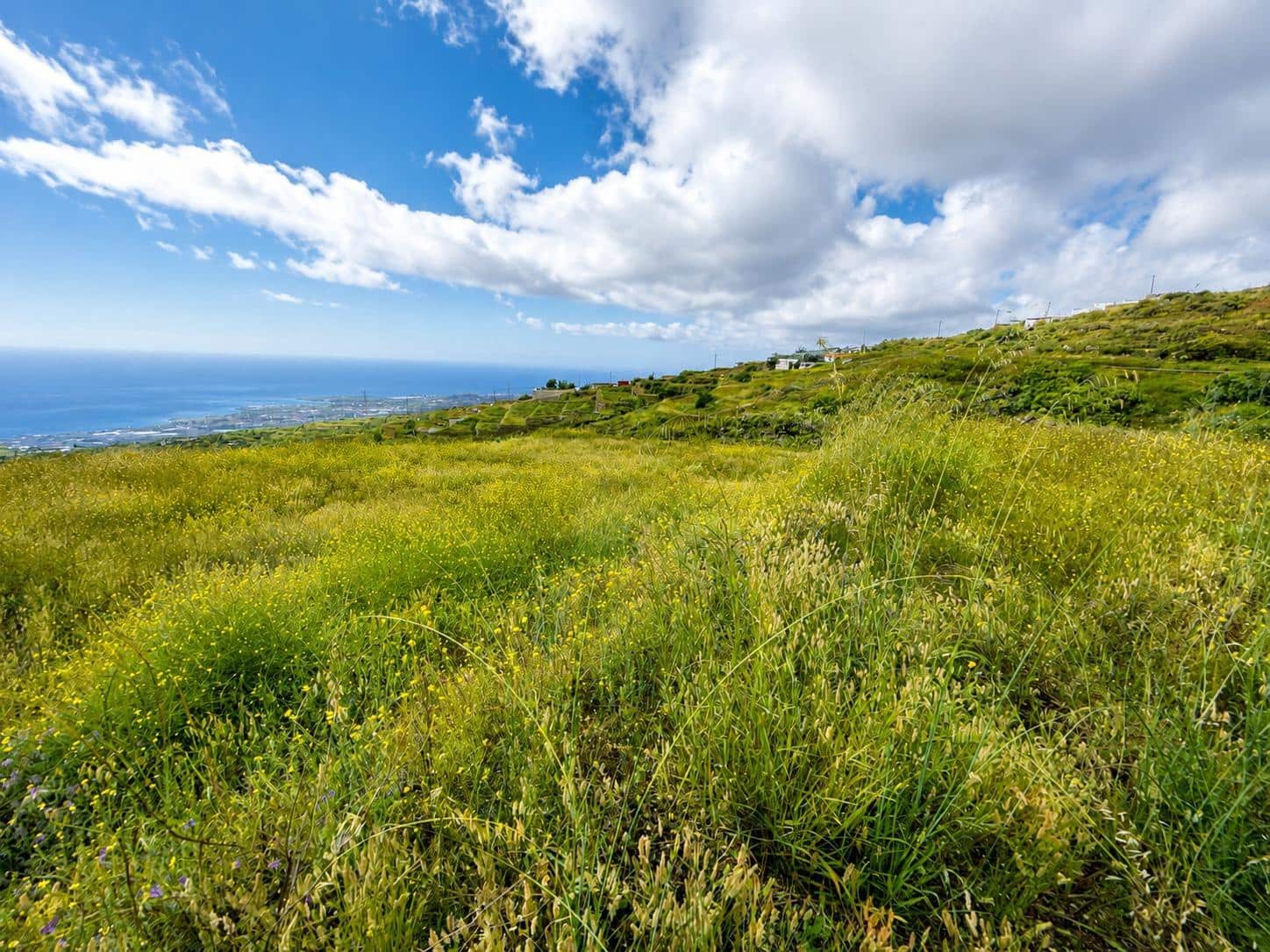 Undeveloped Land for sale in Fasnia - € 197,000 (Ref: 10027347)