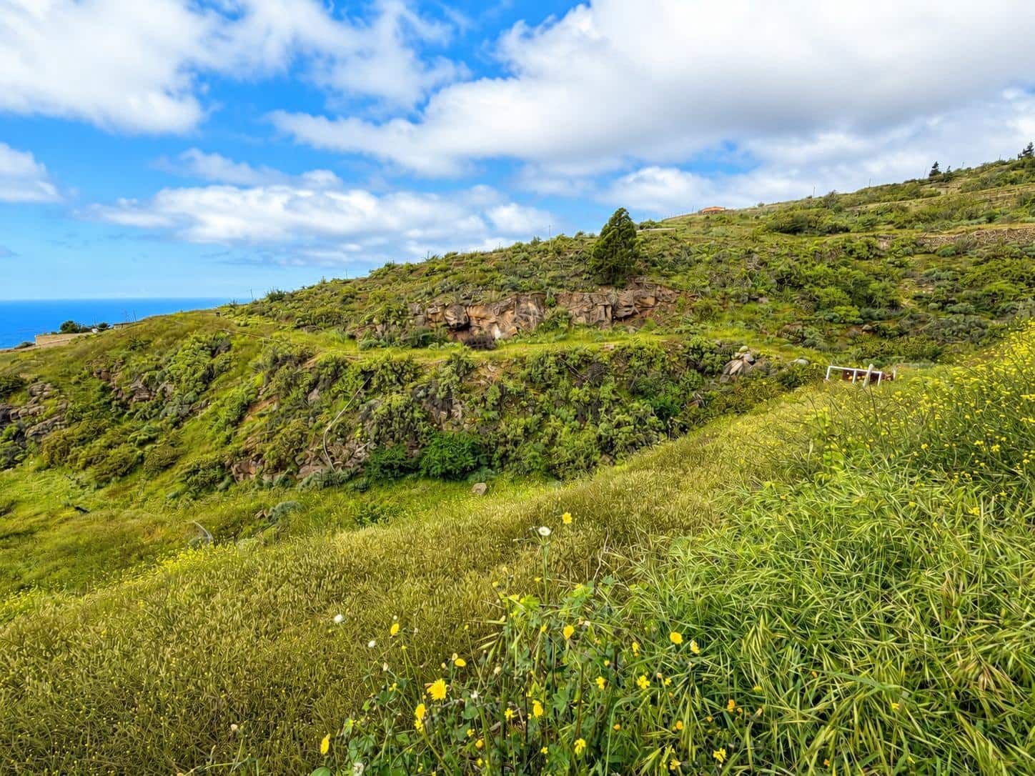 Undeveloped Land for sale in Fasnia - € 197,000 (Ref: 10027347)