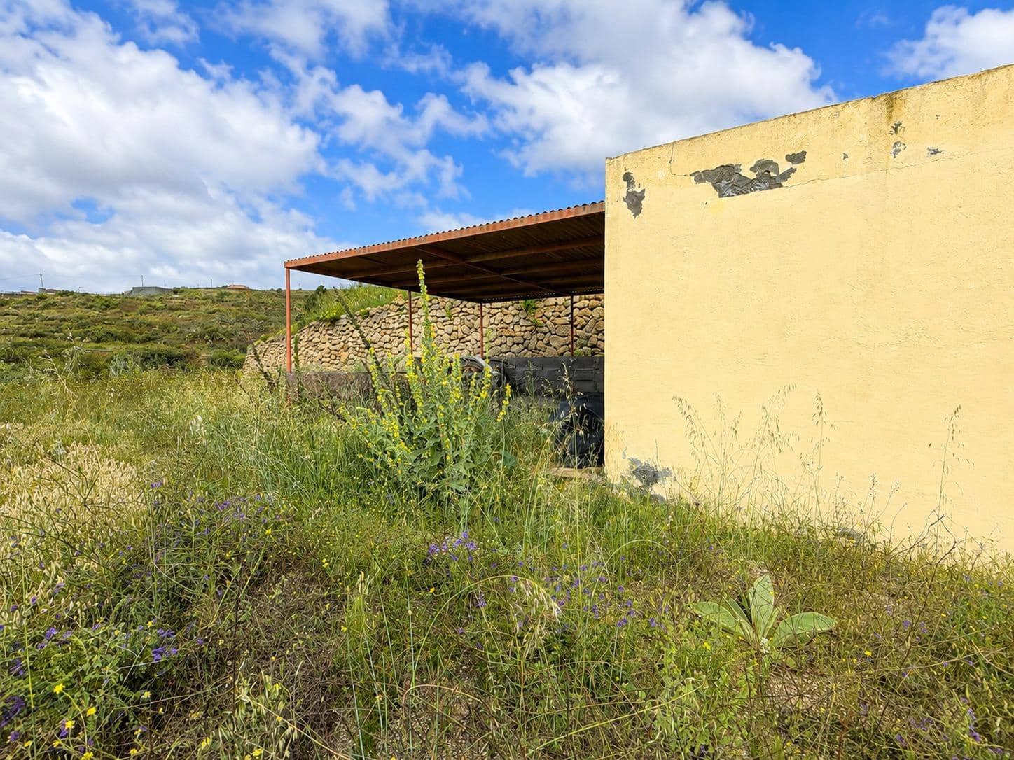 Undeveloped Land for sale in Fasnia - € 197,000 (Ref: 10027347)