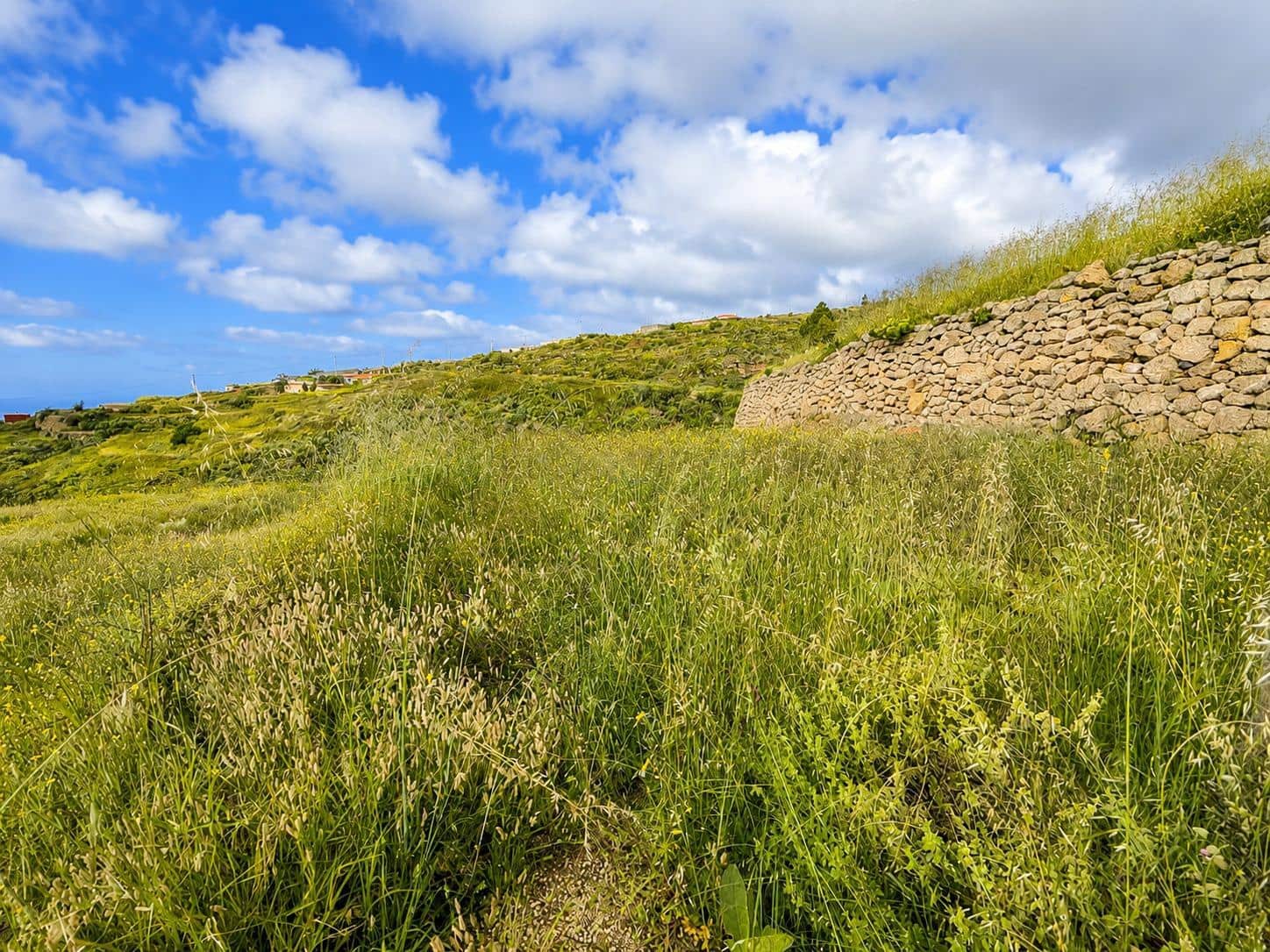 Undeveloped Land for sale in Fasnia - € 197,000 (Ref: 10027347)