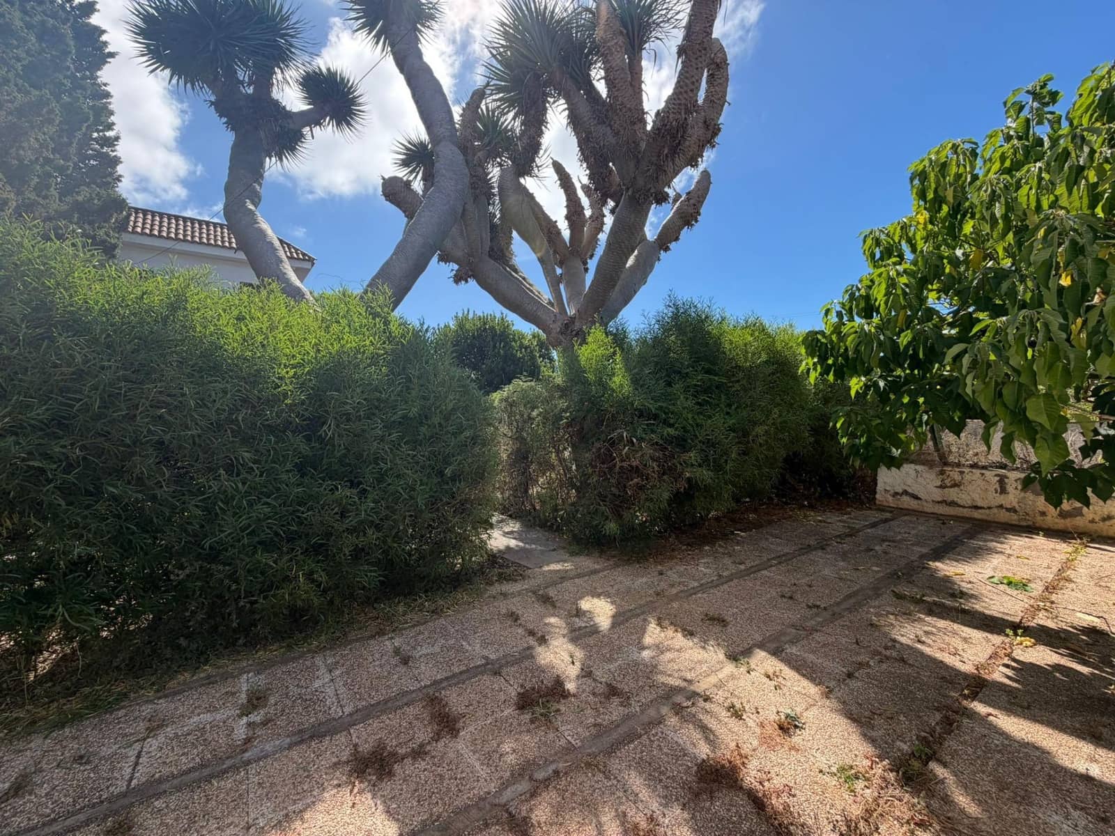 5 Zimmer Villa zu verkaufen in Tacoronte mit Pool - 430.000 € (Ref: 10037468)