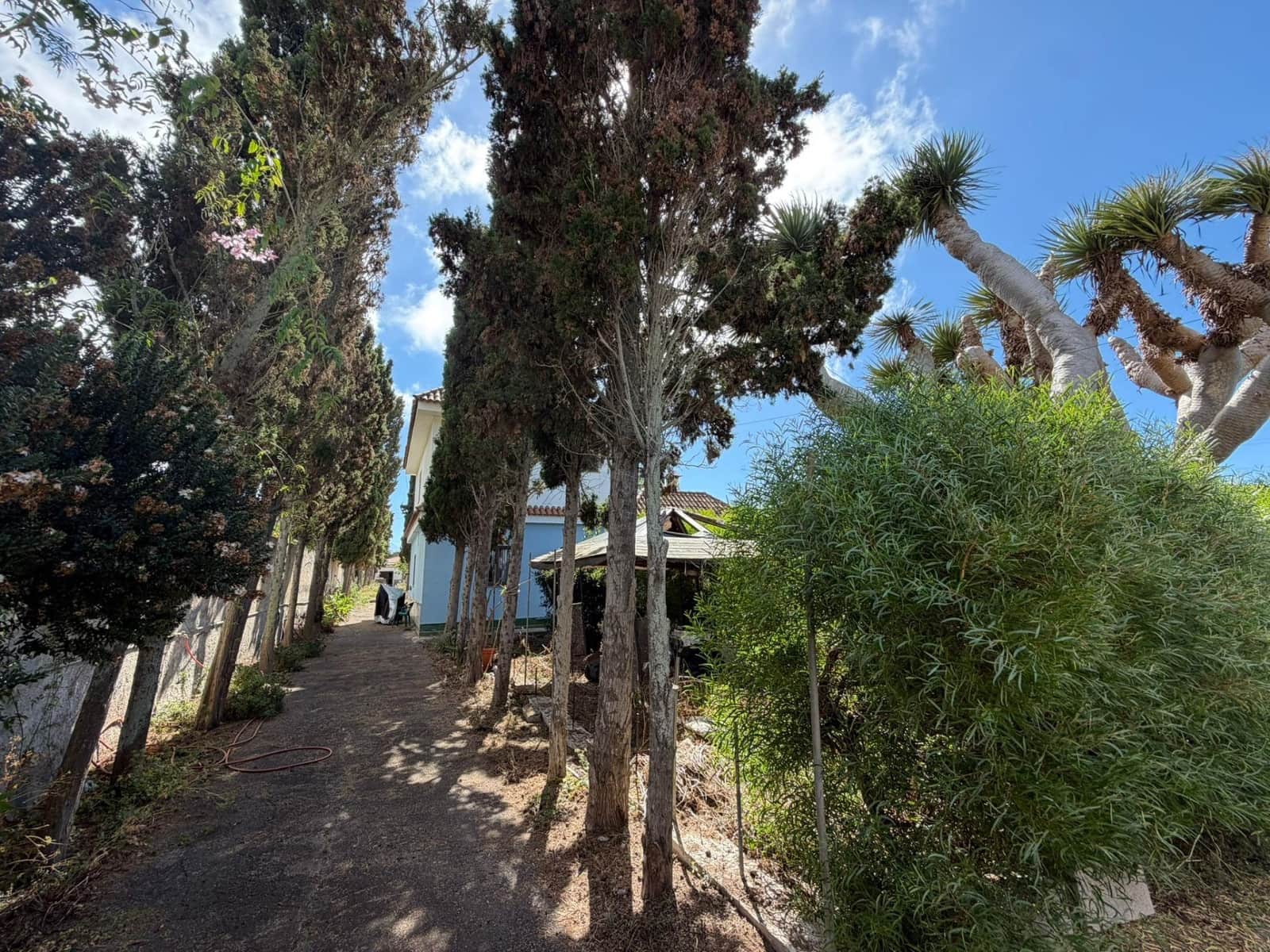 5 Zimmer Villa zu verkaufen in Tacoronte mit Pool - 430.000 € (Ref: 10037468)