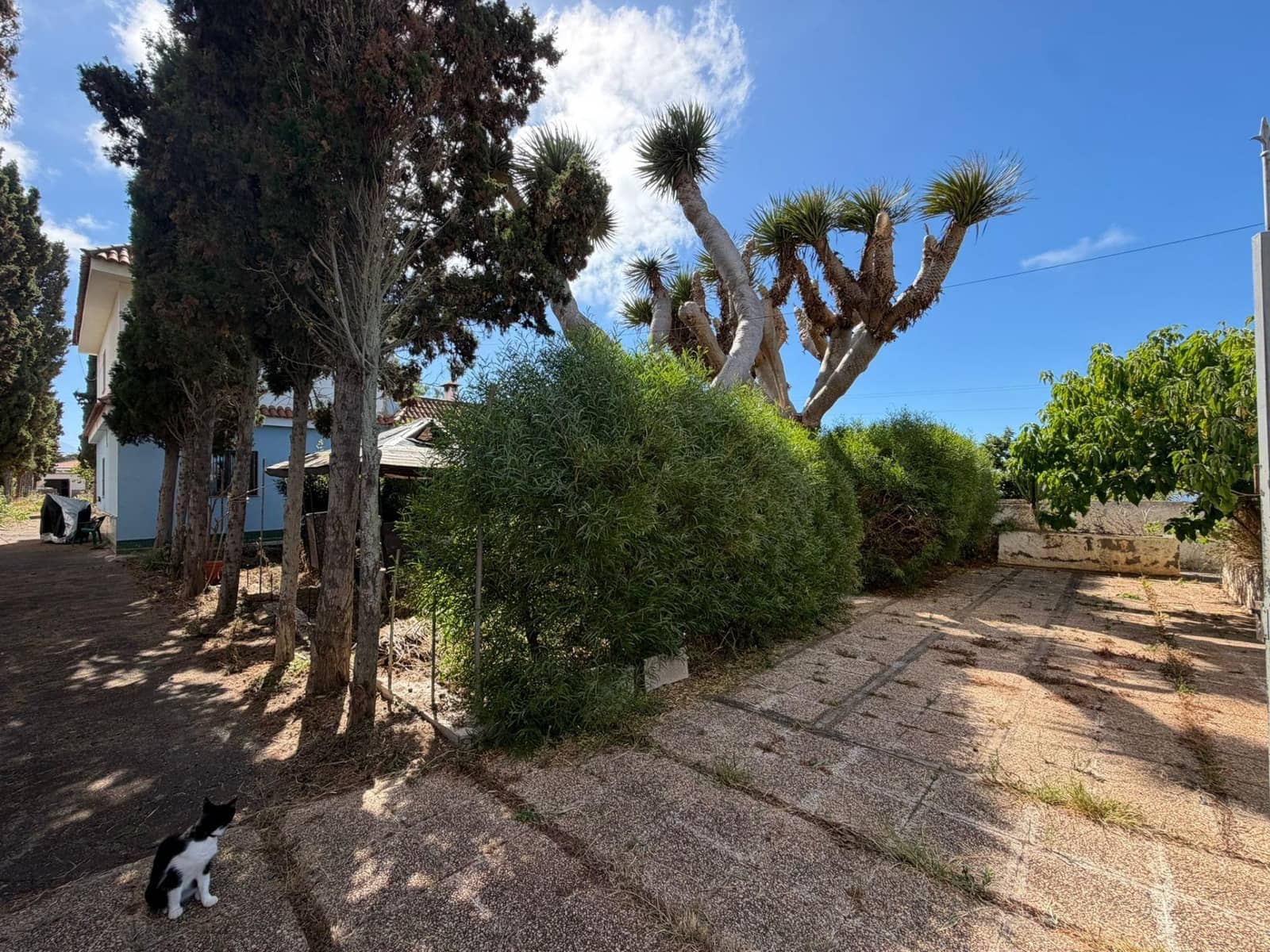 5 Zimmer Villa zu verkaufen in Tacoronte mit Pool - 430.000 € (Ref: 10037468)