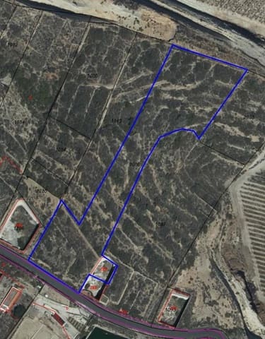 Terreno Non Edificato in vendita in Fasnia - 35.000 € (Rif: 10078397)