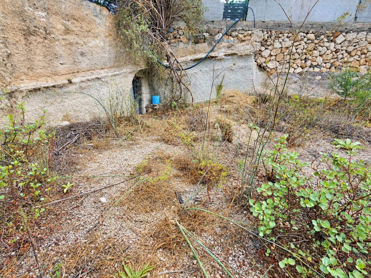 Terre non Aménagée à vendre à Fasnia - 40 000 € (Ref: 10078398)