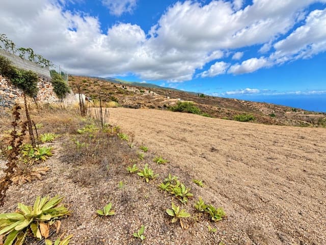 Undeveloped Land for sale in Fasnia - € 40,000 (Ref: 10078398)