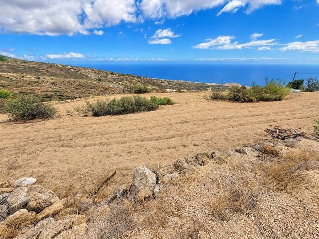 Undeveloped Land for sale in Fasnia - € 40,000 (Ref: 10078398)