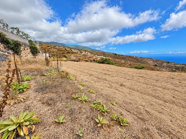 Undeveloped Land for sale in Fasnia - € 40,000 (Ref: 10078398)