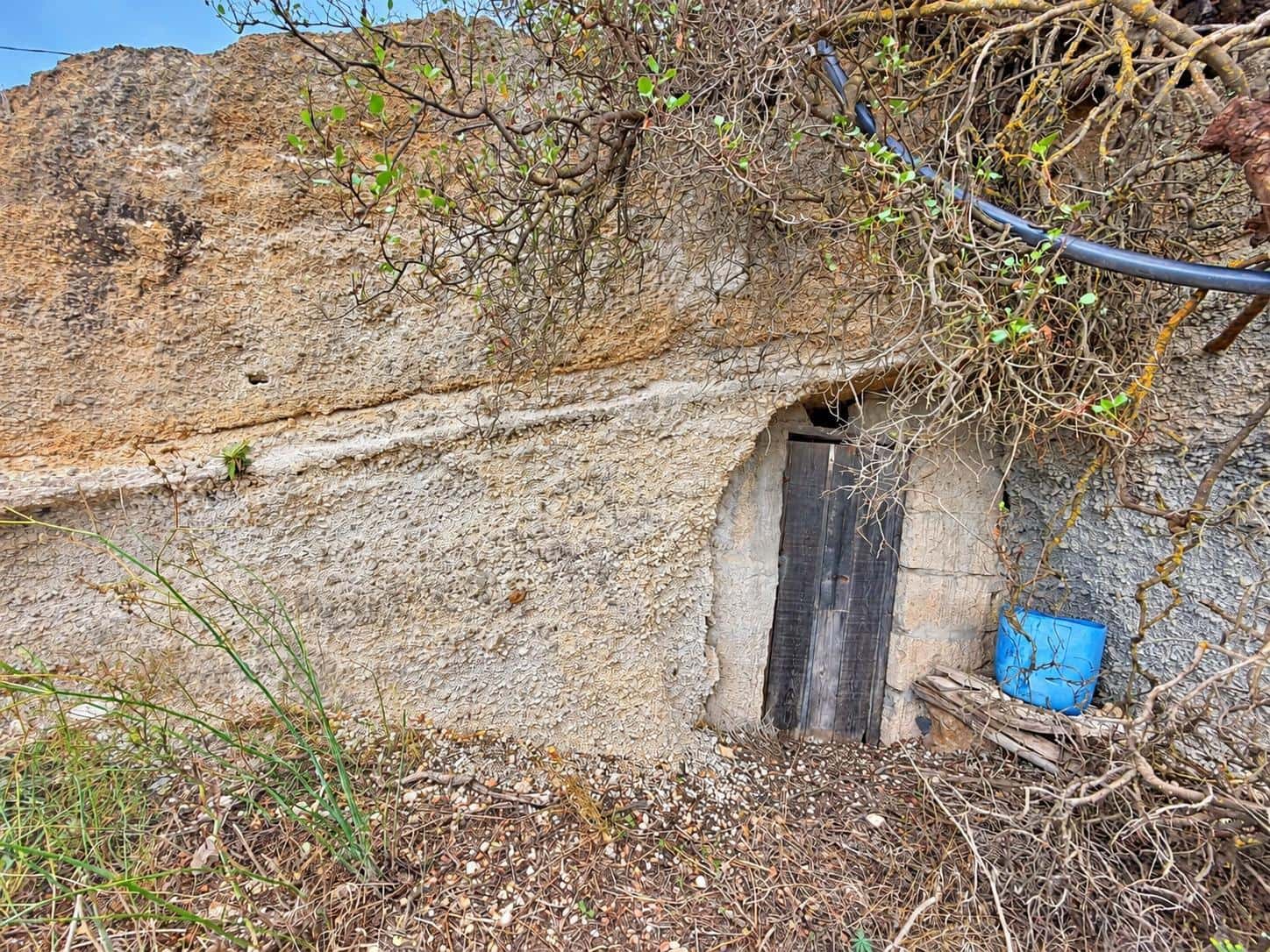 Terre non Aménagée à vendre à Fasnia - 40 000 € (Ref: 10078398)