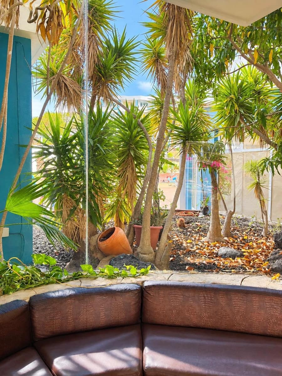 1 bedroom Studio for sale in Golf del Sur with pool - € 170,000 (Ref: 10109714)
