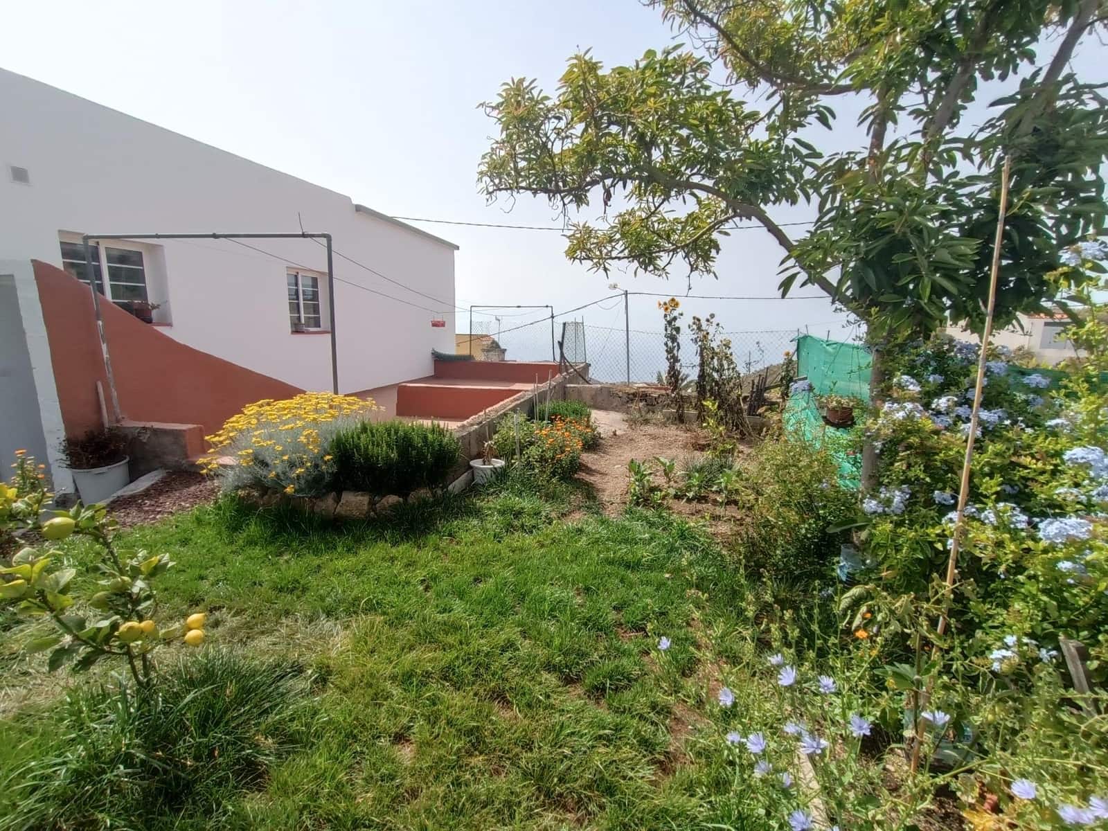 4 chambre Villa/Maison à vendre à Fasnia avec garage - 370 000 € (Ref: 9901441)