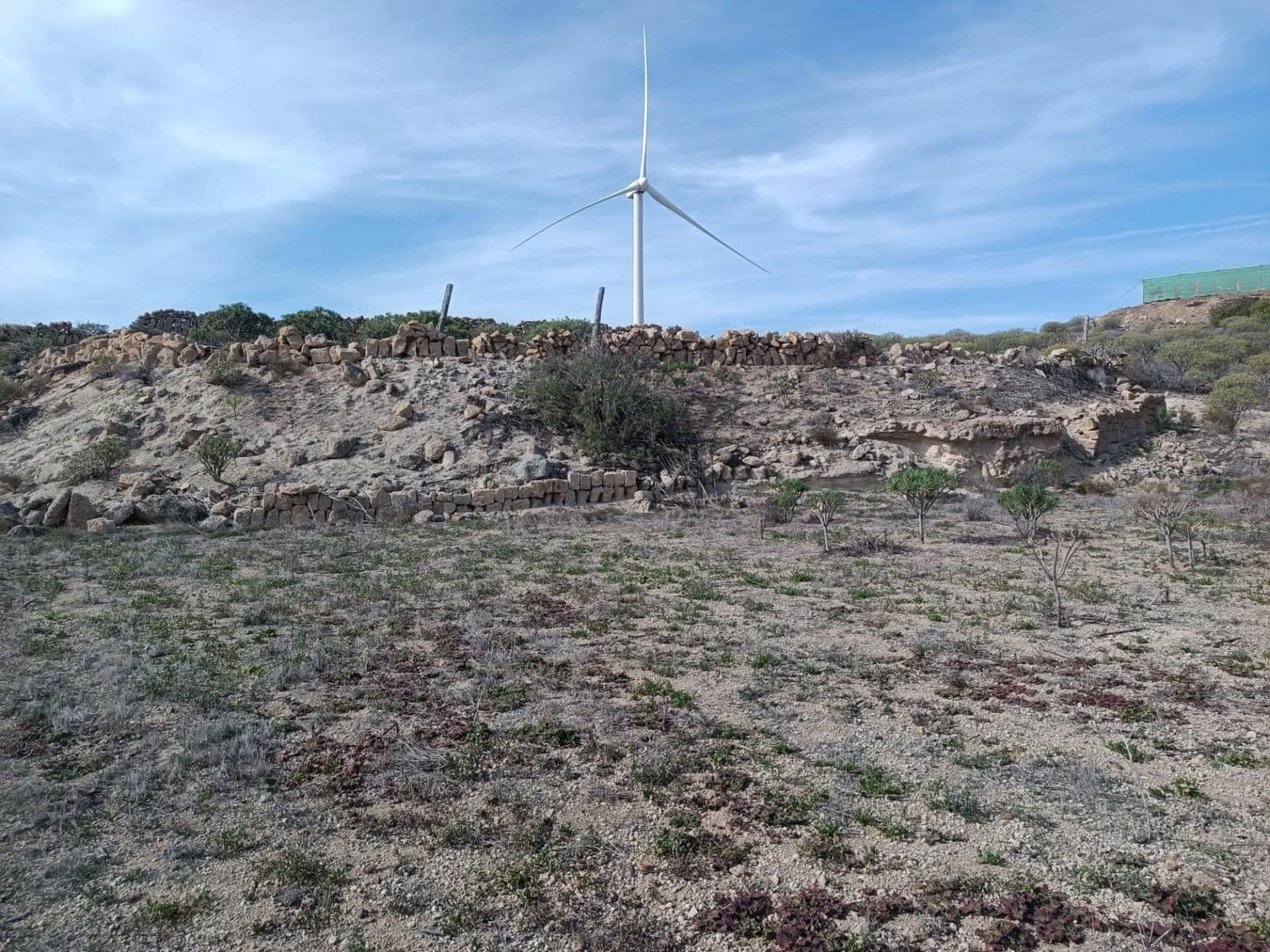 Terreno Não Urbanizado para venda em Chimiche - 55 000 € (Ref: 9901445)