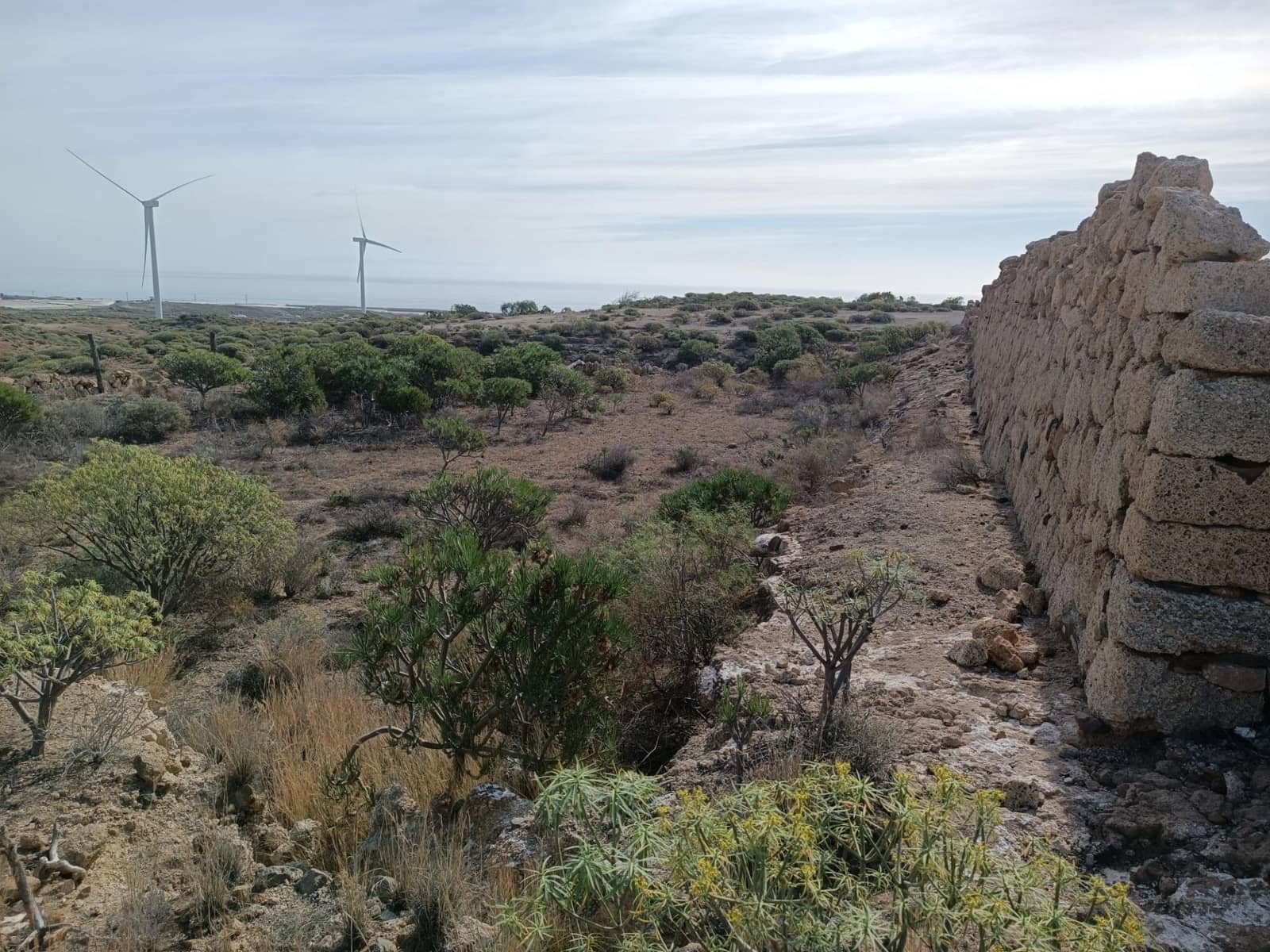 Terreno Não Urbanizado para venda em Chimiche - 55 000 € (Ref: 9901445)