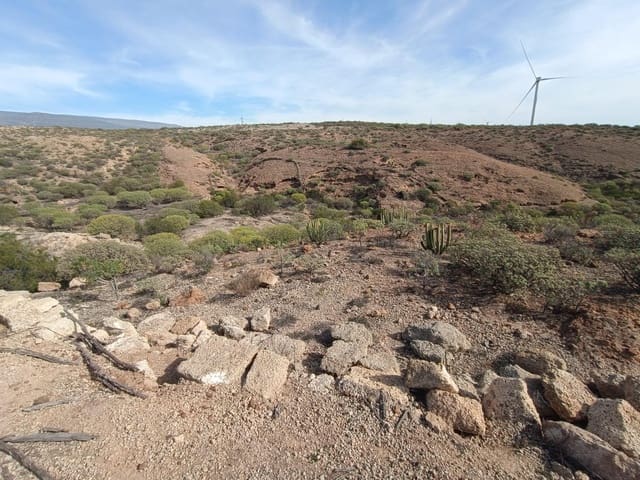 Terreno Não Urbanizado para venda em Chimiche, Granadilla de Abona - 55 000 € (Ref: 9901445)