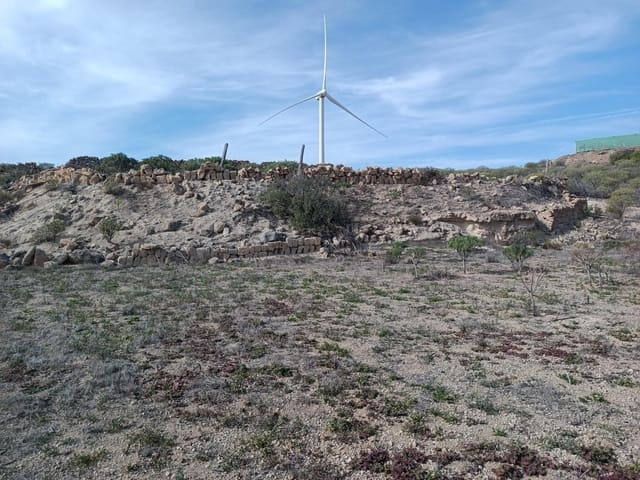 Terreno Não Urbanizado para venda em Chimiche, Granadilla de Abona - 55 000 € (Ref: 9901445)