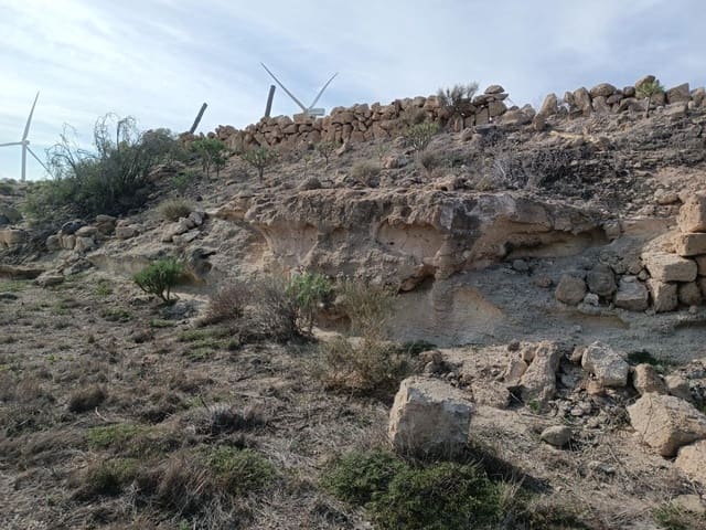 Terreno Não Urbanizado para venda em Chimiche, Granadilla de Abona - 55 000 € (Ref: 9901445)