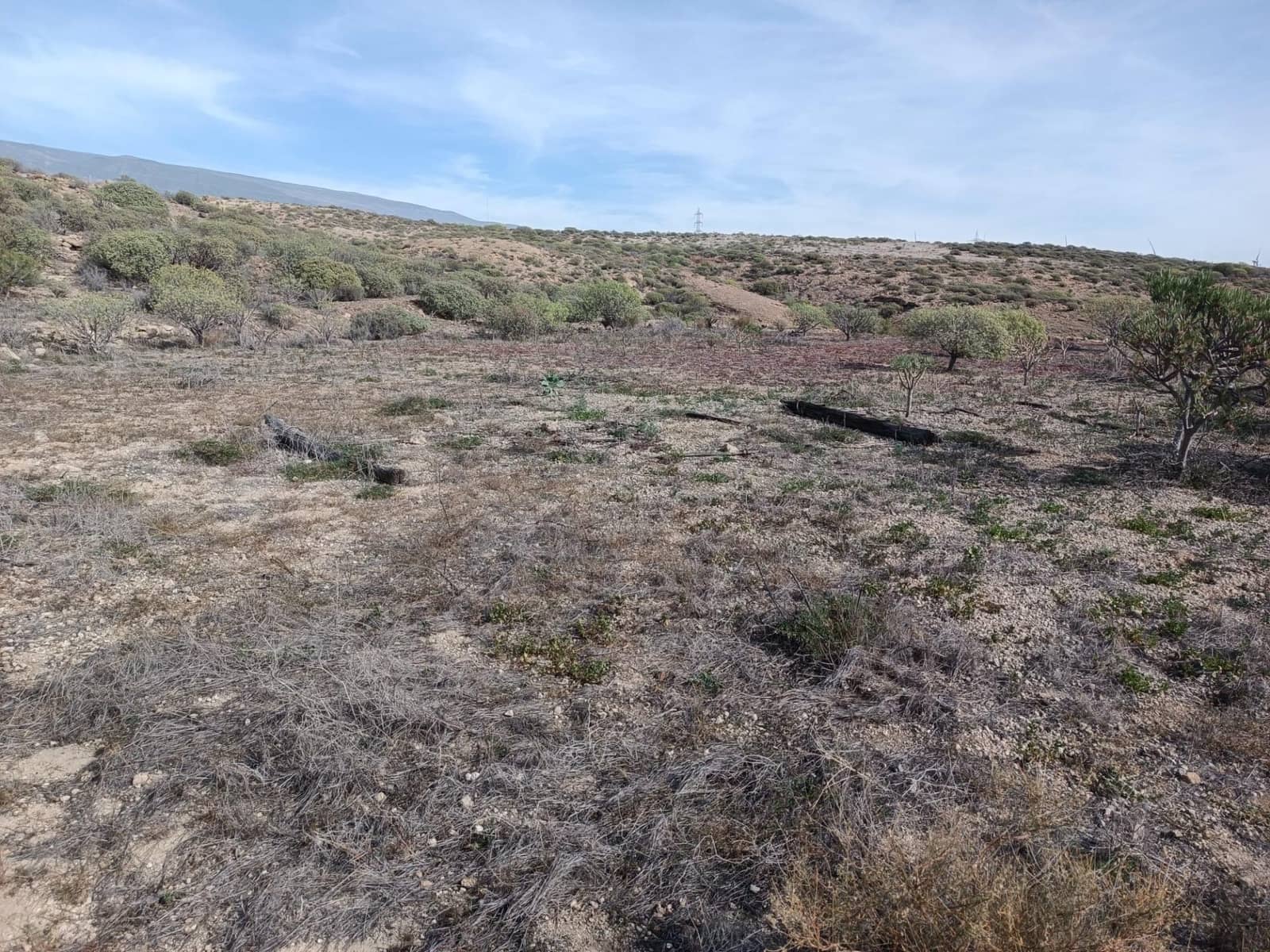 Terreno Não Urbanizado para venda em Chimiche - 55 000 € (Ref: 9901445)