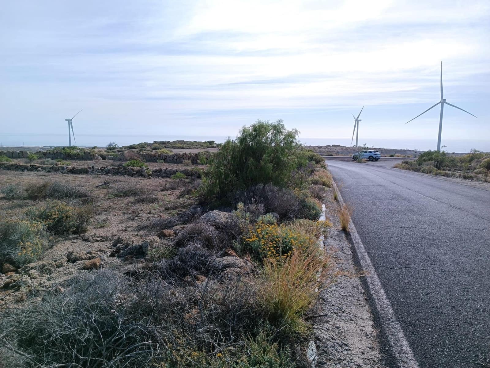 Terreno Não Urbanizado para venda em Chimiche - 55 000 € (Ref: 9901445)