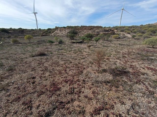 Terreno Não Urbanizado para venda em Chimiche, Granadilla de Abona - 55 000 € (Ref: 9901445)