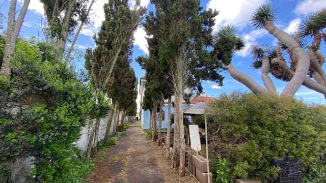 5 Zimmer Villa zu verkaufen in Tacoronte - 480.000 € (Ref: 9901451)