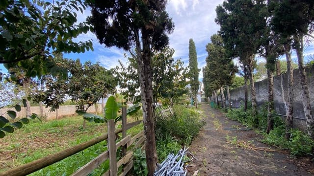 5 Zimmer Villa zu verkaufen in Tacoronte - 480.000 € (Ref: 9901451)