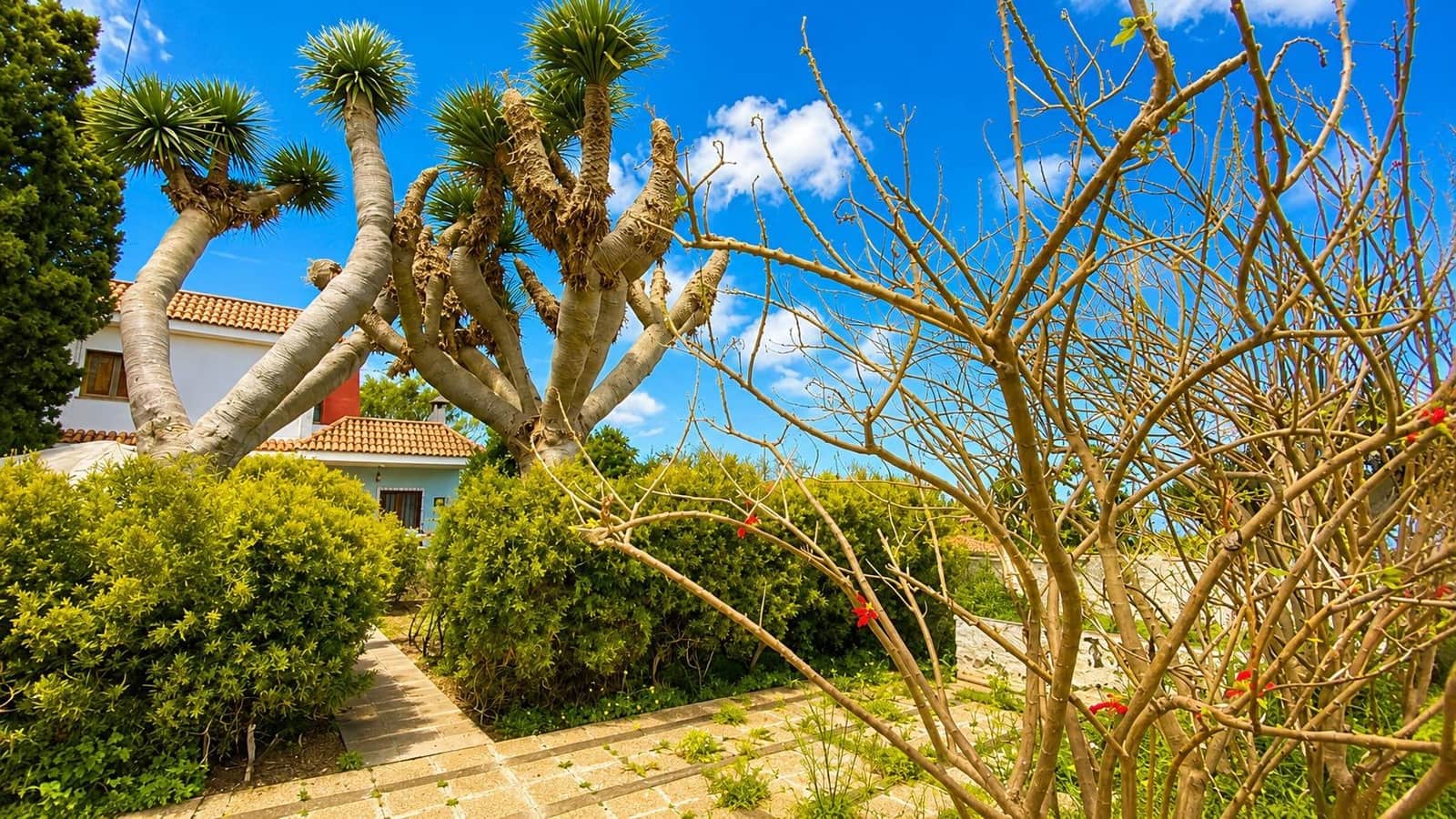 5 bedroom Villa for sale in Tacoronte - € 450,000 (Ref: 9901451)