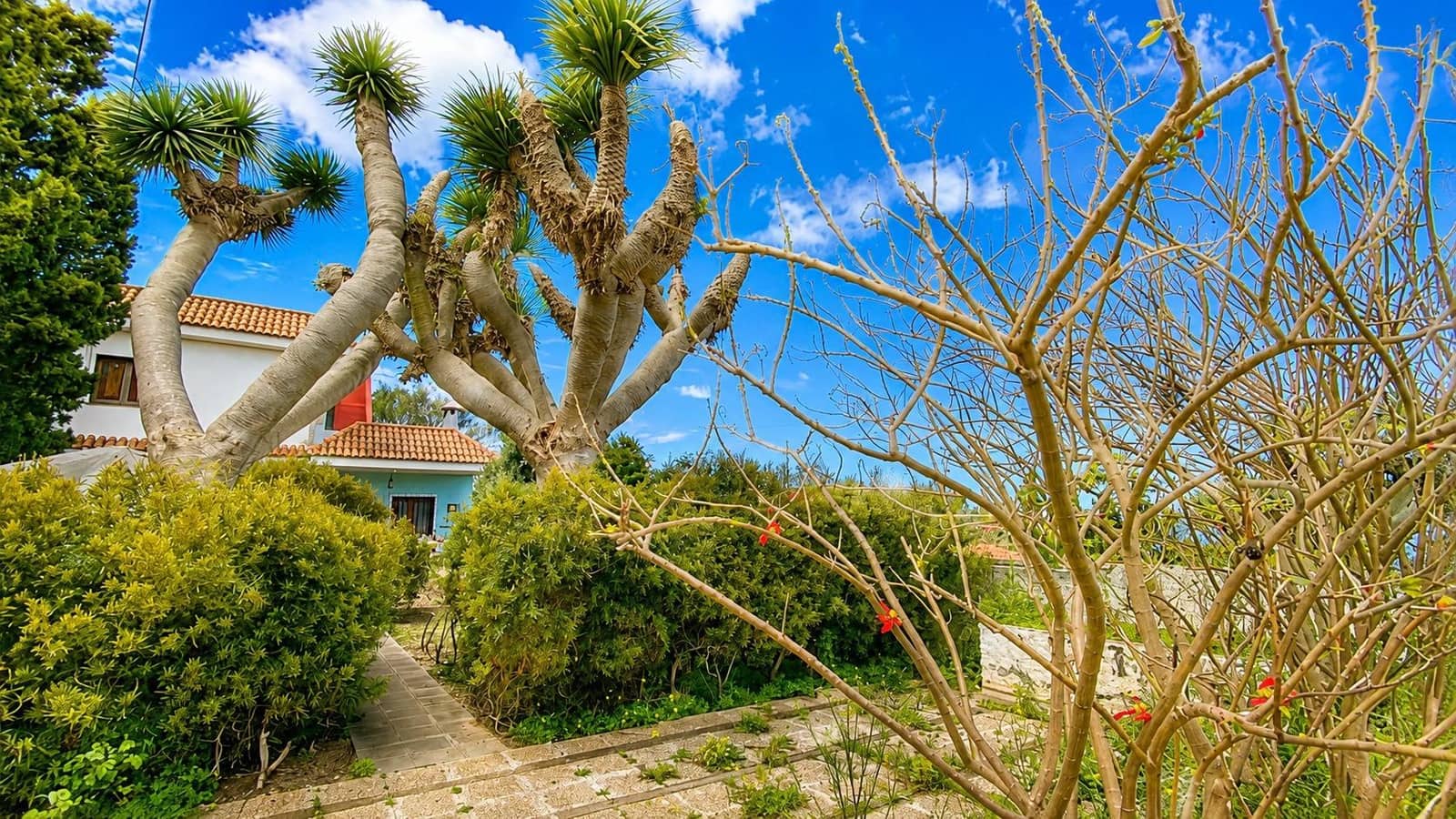 5 bedroom Villa for sale in Tacoronte - € 450,000 (Ref: 9901451)