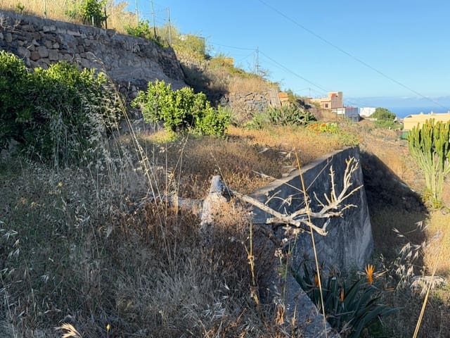 Building Plot for sale in Fasnia - € 50,000 (Ref: 9901460)